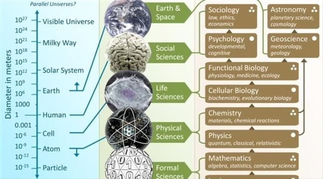 تطبيق إلكتروني لتبسيط المعلومات المكتوبة بلغة معقدة علمياً