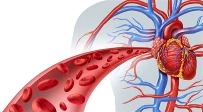 أسباب وأعراض اضطرابات سريان الدم