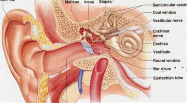  التهاب الأذن الوسطى.. الأسباب والعلاج